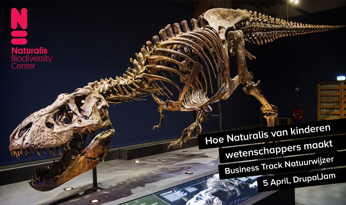 Skelet van T-Rex opgesteld in Naturalis