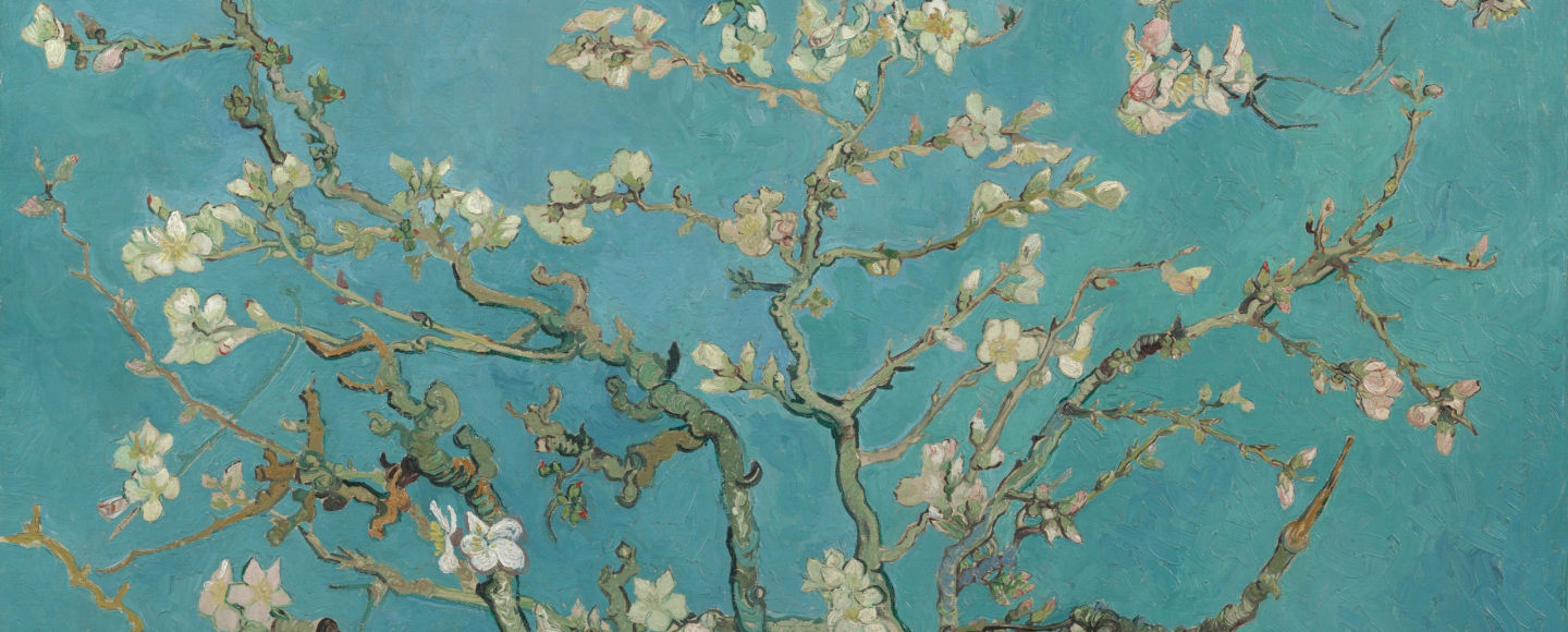 Bloesem van Vincent Van Gogh